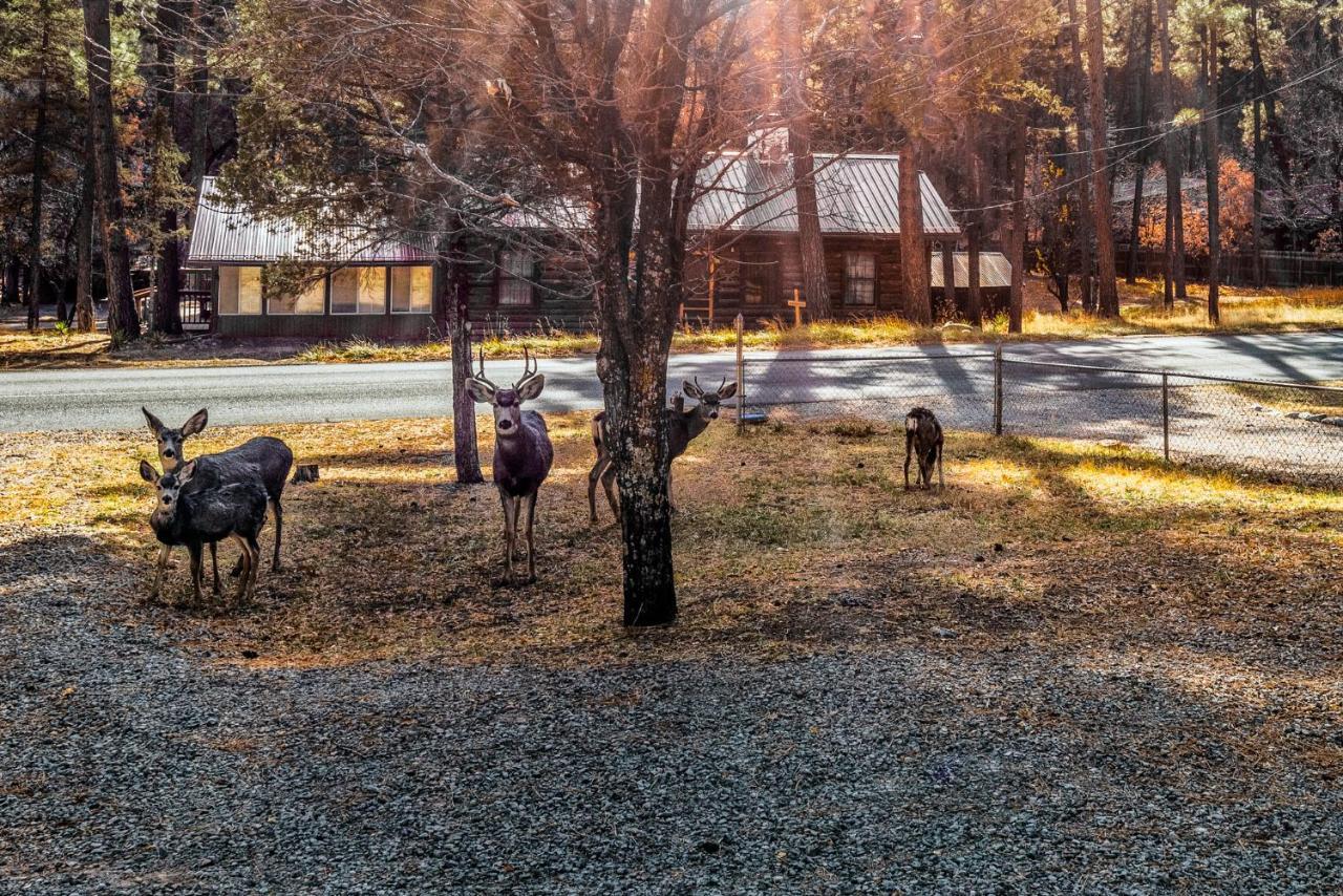 The Great Escape Vila Ruidoso Exterior foto