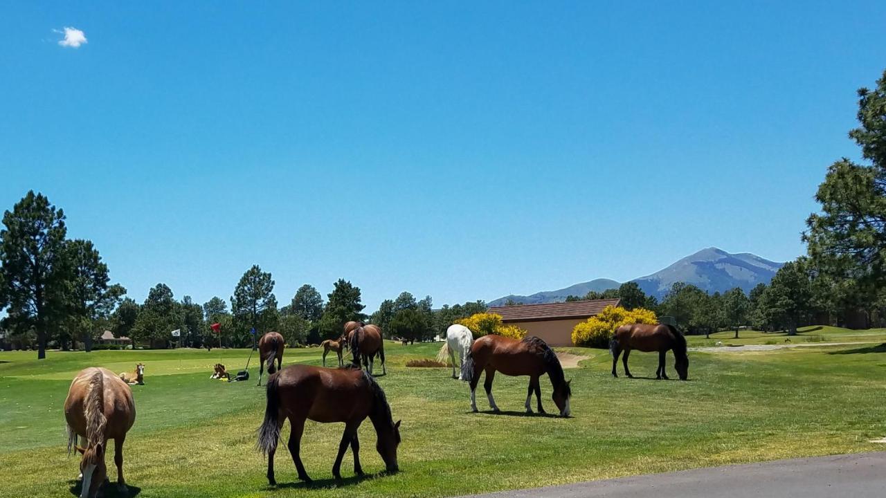 The Great Escape Vila Ruidoso Exterior foto